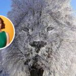 „Затворена“ или „друштвена“ особа: шта оптичка илузија може рећи о