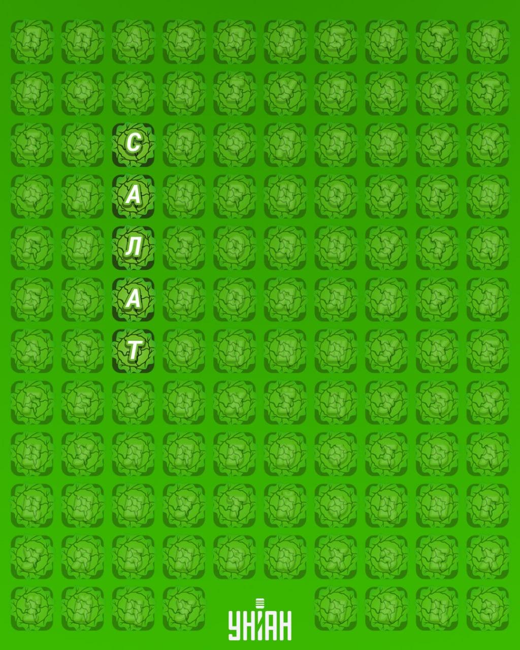 98% људи не може да пронађе реч 'салата' за 12 секунди: веома тешка загонетка