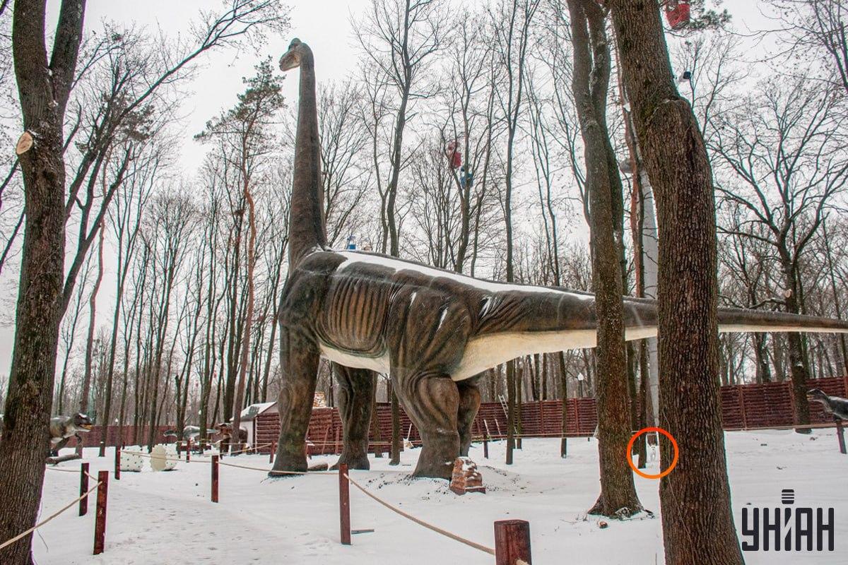 Пас је био близу доњег левог угла слике / колажа УНИАН