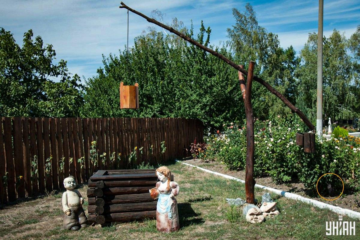 Мачка је била у гредици / колаж УНИАН