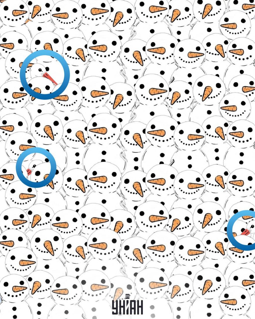 Морате пронаћи 3 роде међу снежним људима за 11 секунди: невероватна оптичка илузија