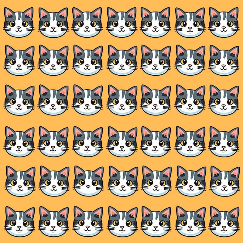 Ова оптичка илузија је могућа само за људе са великим ИК-ом / имаге УНИАН