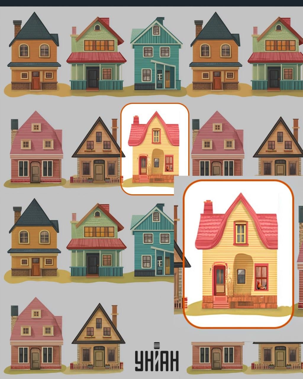 На прозору једне од кућа био је петао / колаж УНИАН