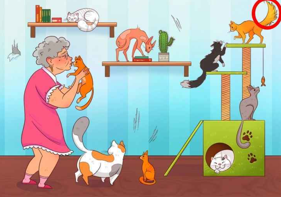 пхото Бригхтсиде