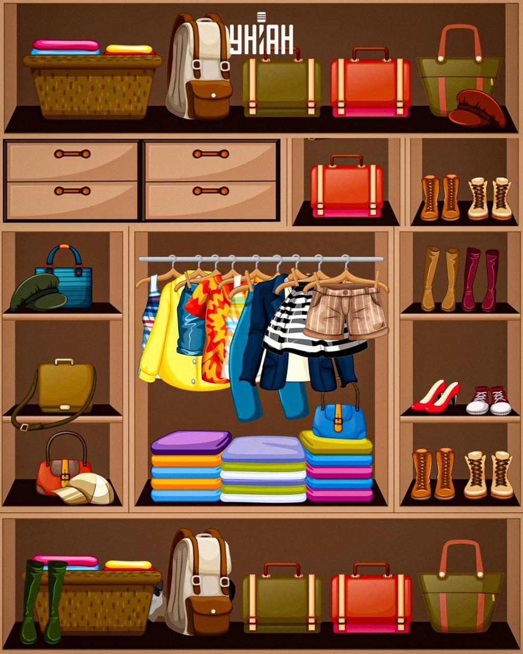 Морамо пронаћи лукаву мачку / колаж УНИАН