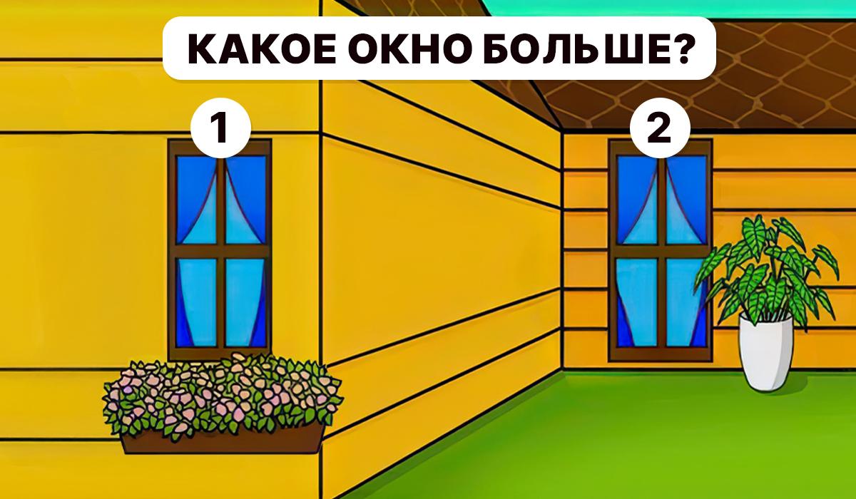 Морамо да схватимо који прозор је већи / колаж УНИАН