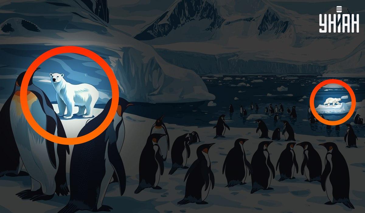 Одговор / УНИАН