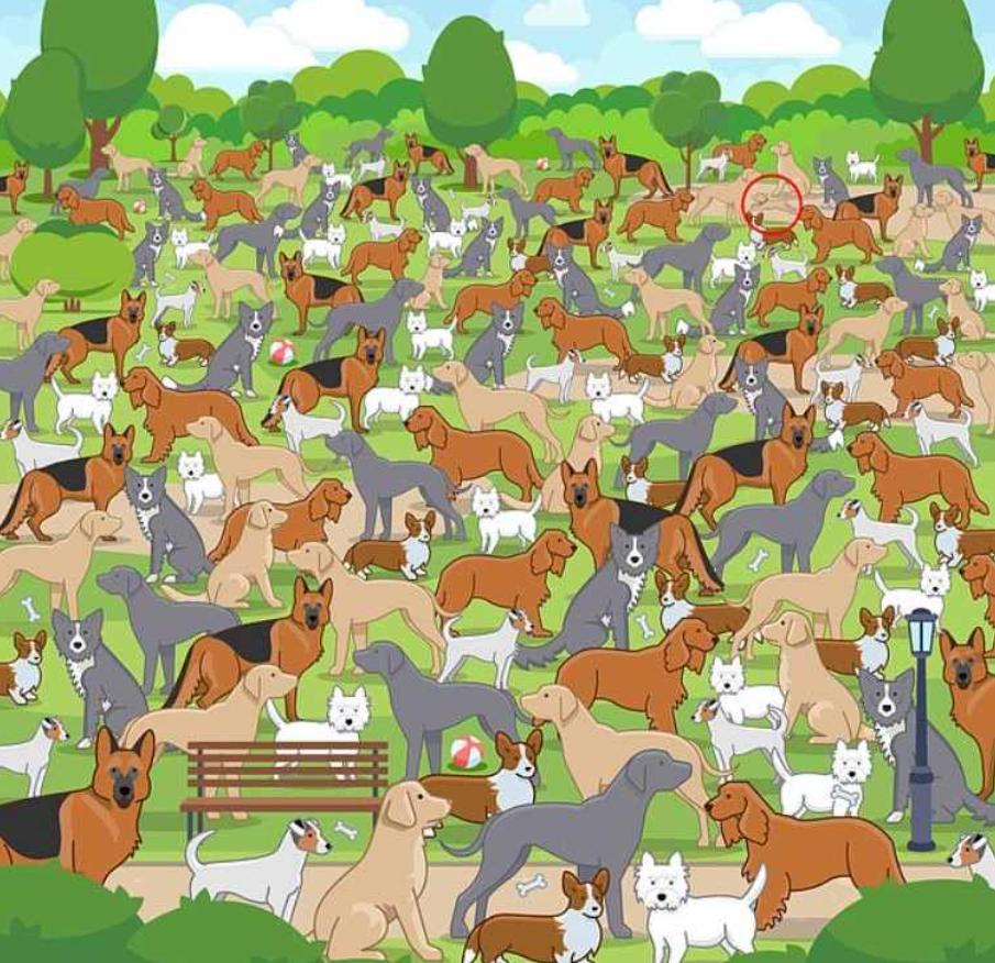 пхото Јаграњосх