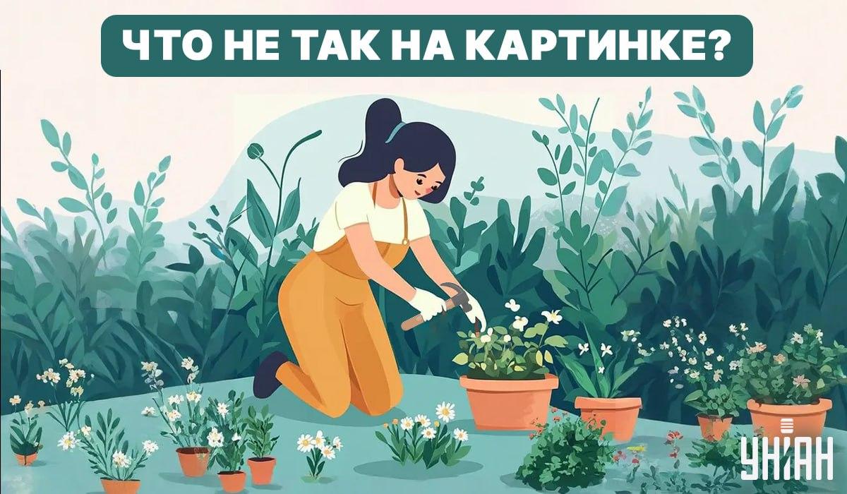 Покушајте да пронађете грешку / Колаж - УНИАН