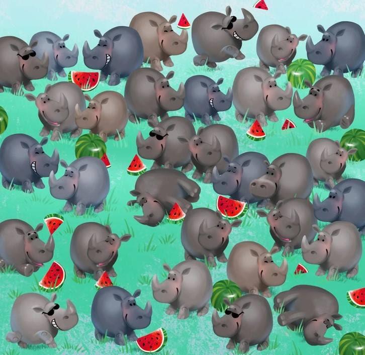 Илузија / Светла страна