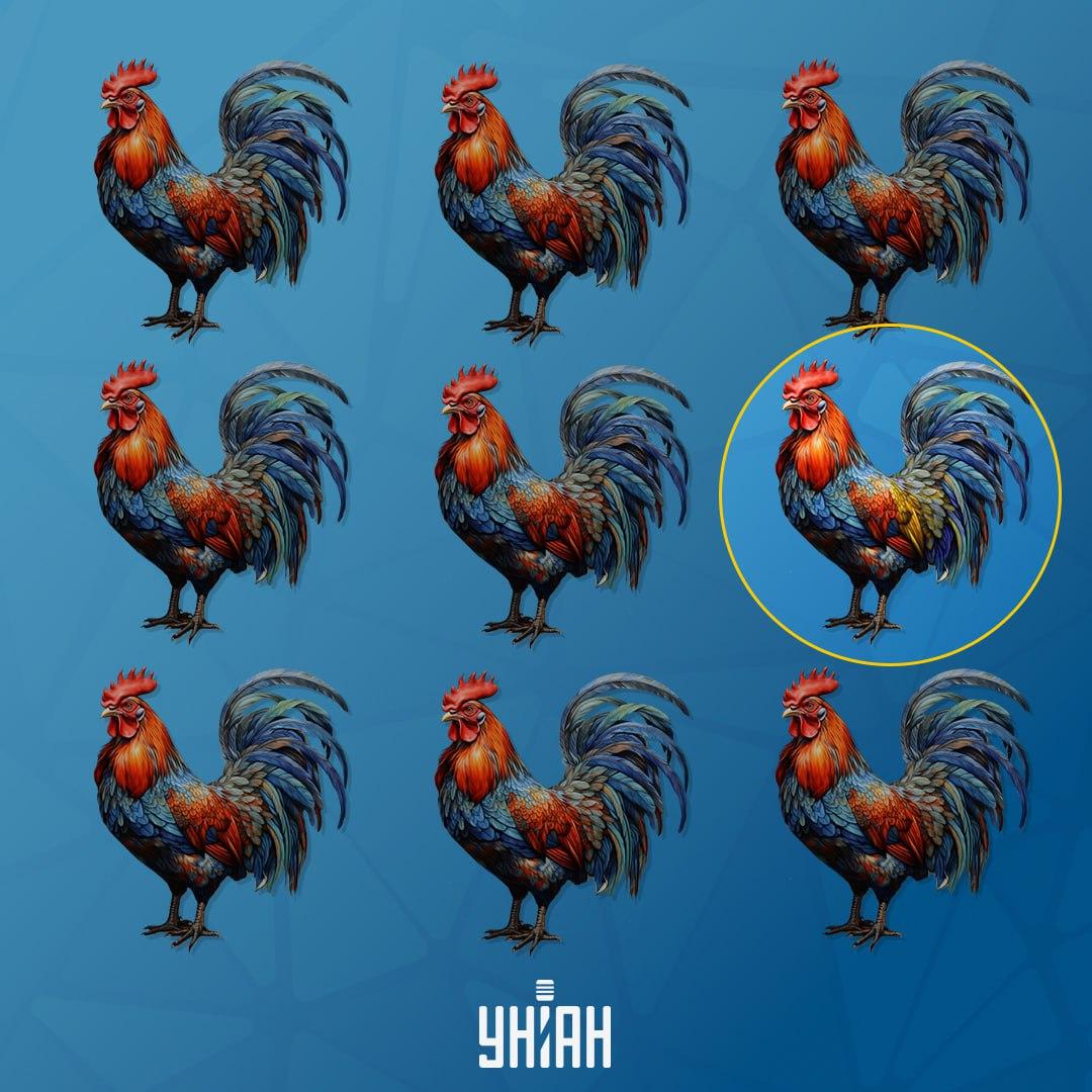 Петао, који се разликује од осталих, био је на левој страни / колаж УНИАН