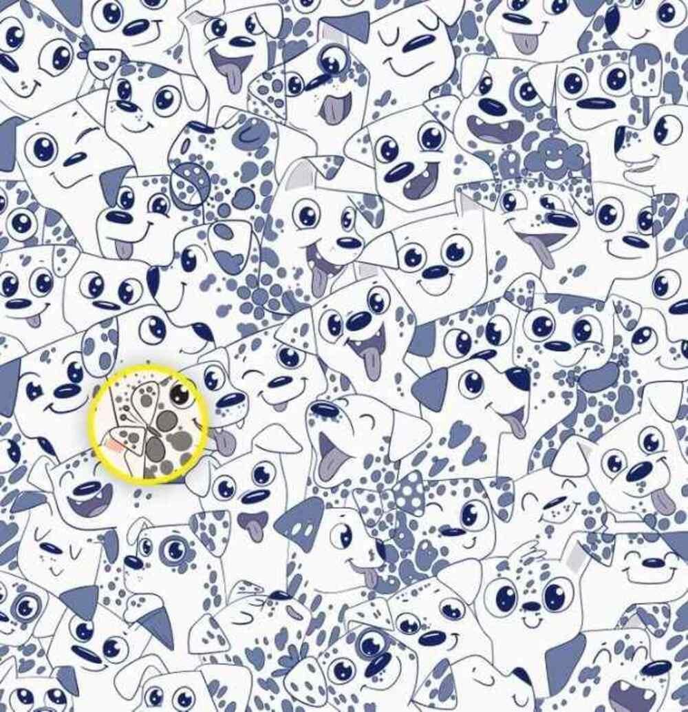 Лептир је био на десној страни / Бригхтсиде цртеж