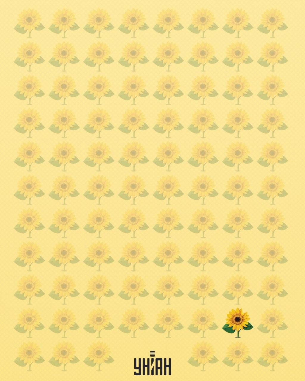 Сунцокрет коме недостаје латица назван је чудним / УНИАН колаж