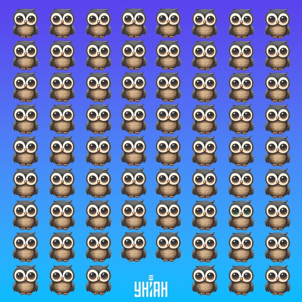 Пронађите ретку птицу на време / колаж УНИАН