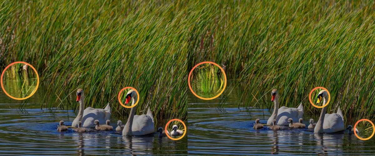 Да бисте решили загонетку, морали сте да обратите пажњу на мале ствари / колаж УНИАН