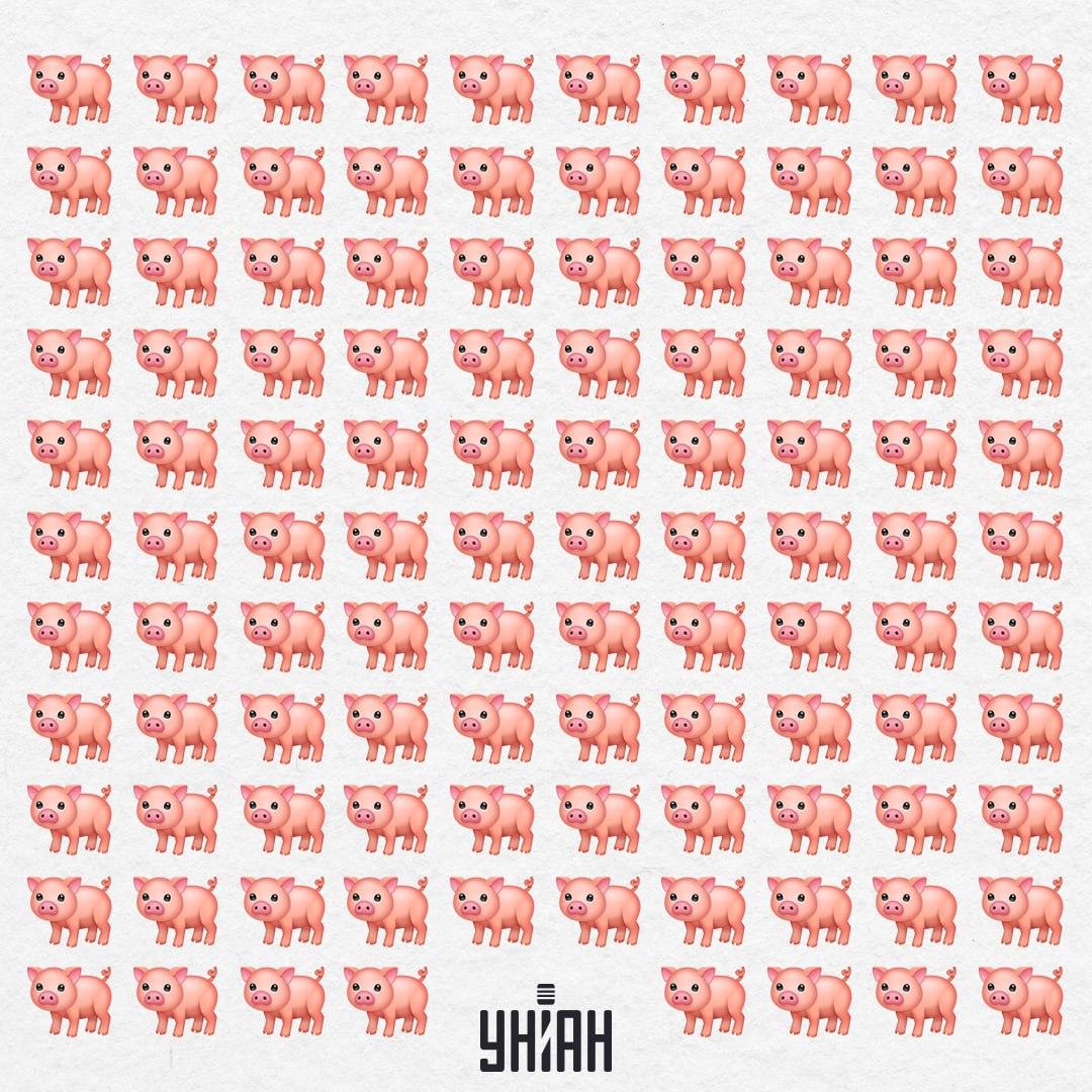 Наша свиња је негде негде, неће вам тако лако запасти за око / Колаж УНИАН