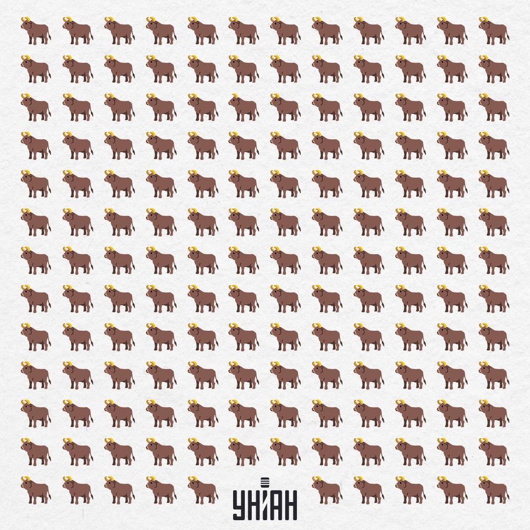 Овде их има 154, али један није такав - требало би да га видите за 10 секунди / Колаж УНИАН