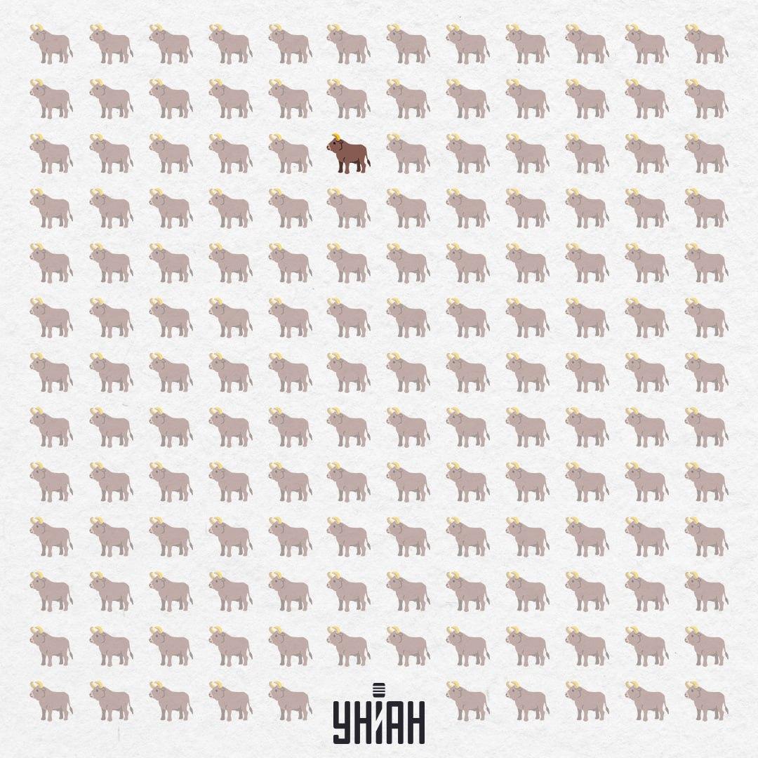 Крио се у центру, скоро са самог врха / Колаж УНИАН