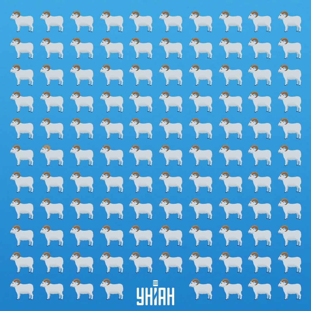 Има 7 секунди да видите лукаву животињу / Колаж УНИАН