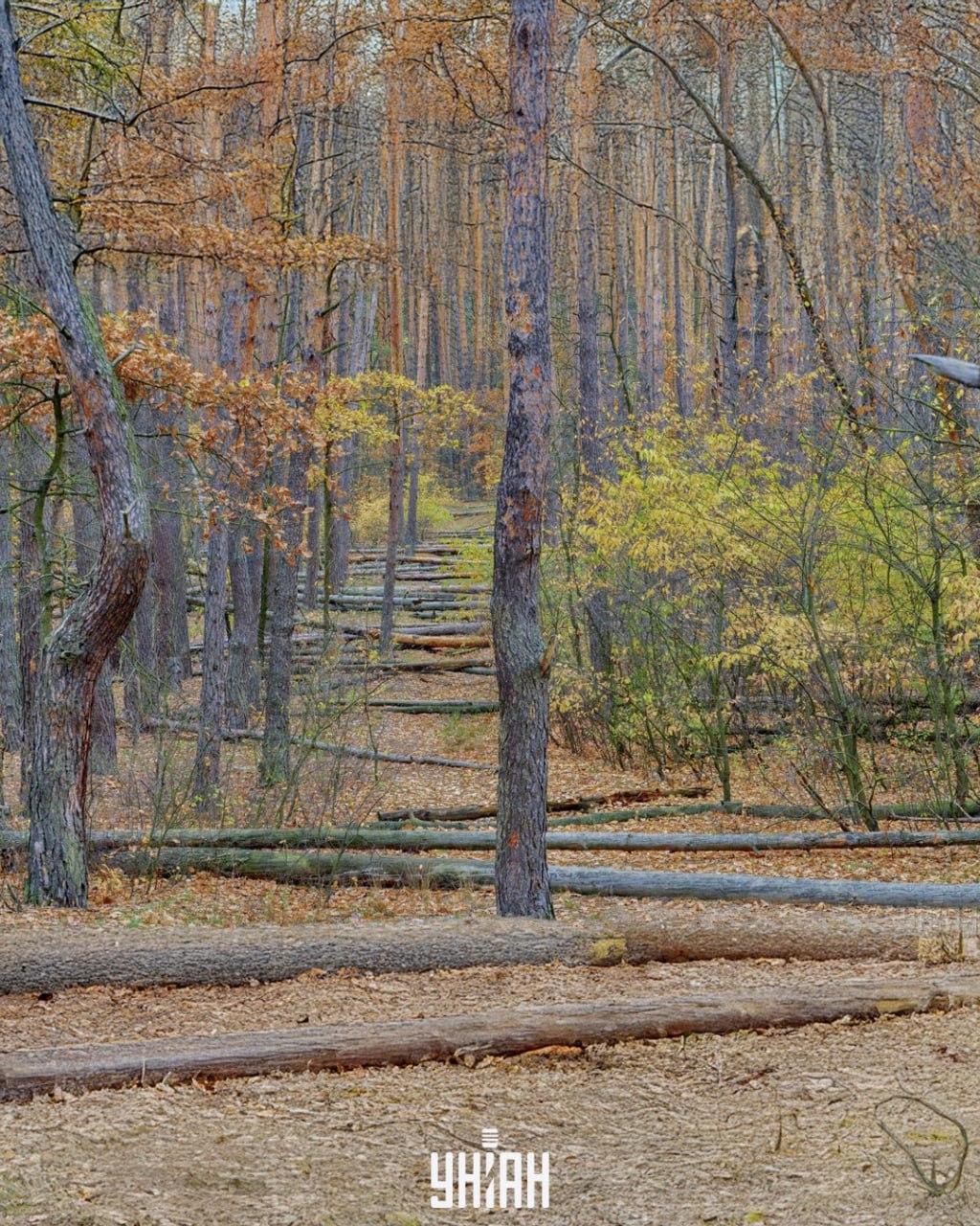 фото УНИАН, Владимир Фалин