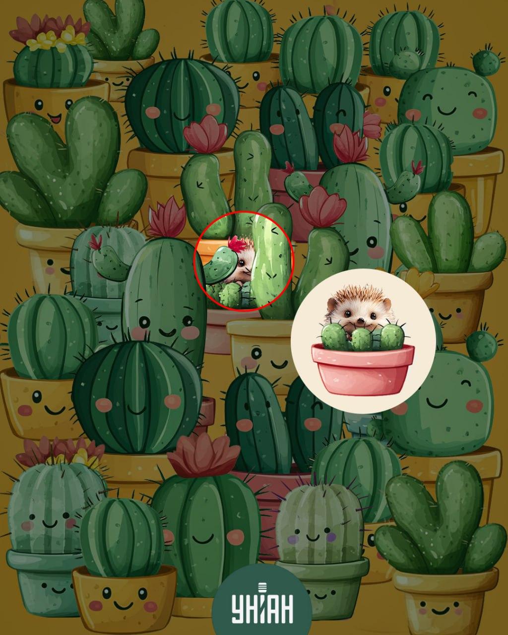 колаж УНИАН