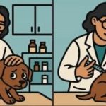 ИК тест: пронађите 3 разлике на слици ветеринара за 63