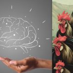 Једноставан ИК тест: пронађите кокошку међу петловима за 7 секунди Једноставан ИК тест: пронађите кокошку међу петловима за 7 секунди