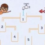 Који бокал ће се први напунити водом: загонетка пажње