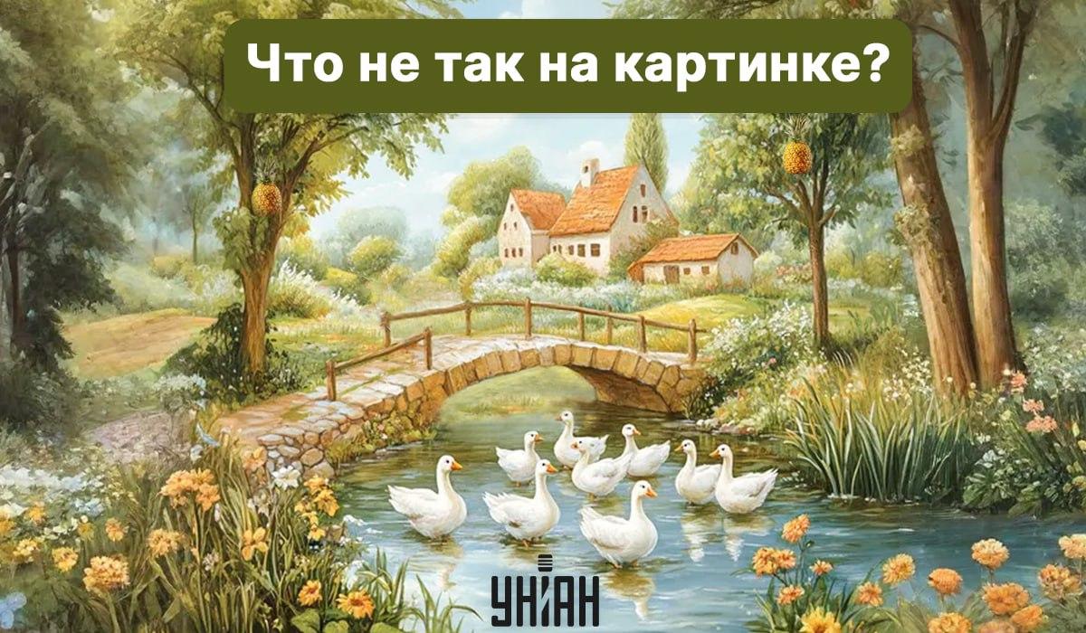 колаж УНИАН