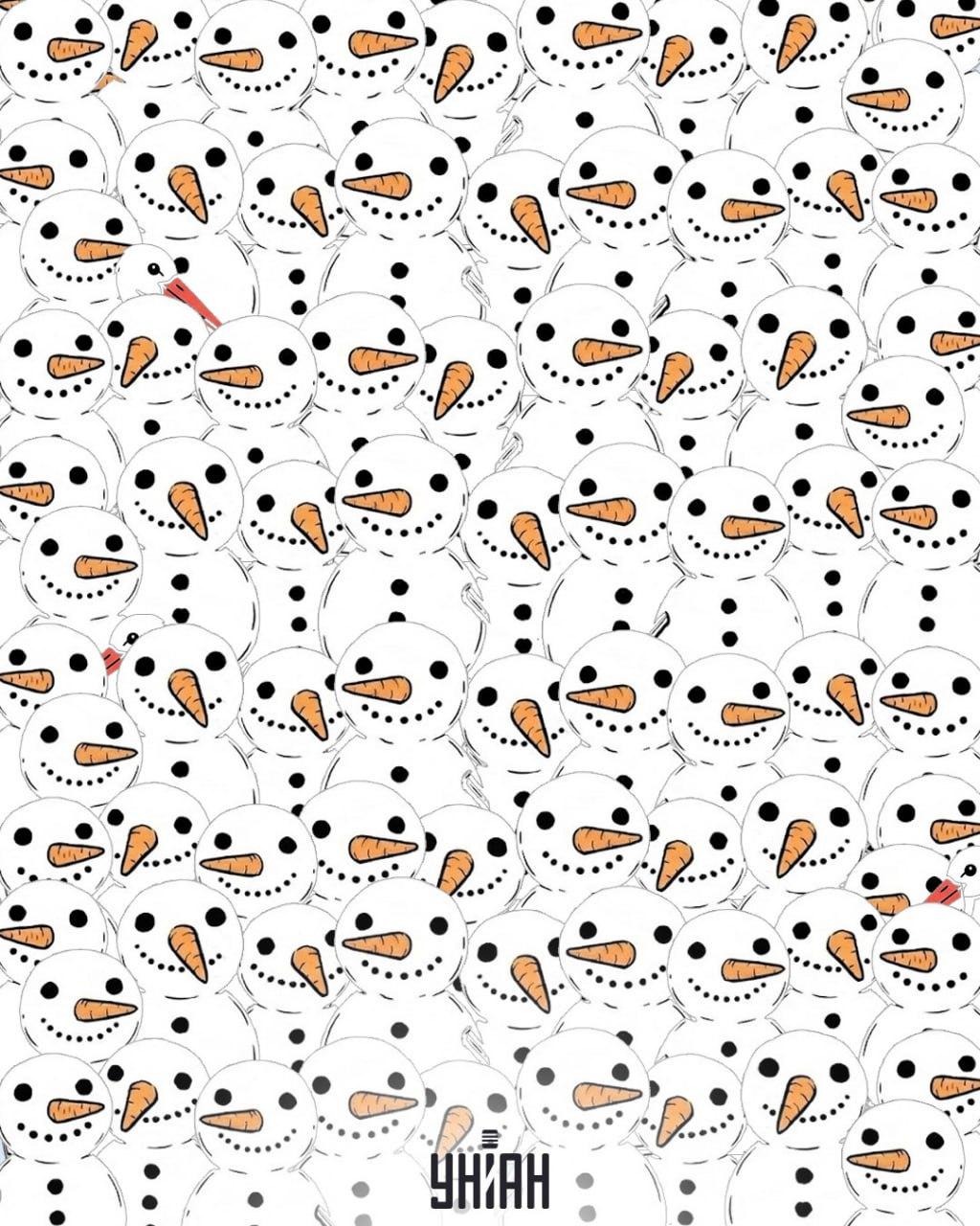 Морате пронаћи 3 роде међу снежним људима за 11 секунди: невероватна оптичка илузија