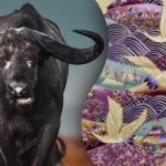 Морате пронаћи бика на слици за 15 секунди: загонетка за