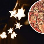 Оптичка илузија за људе са орловским видом: морате пронаћи звезду