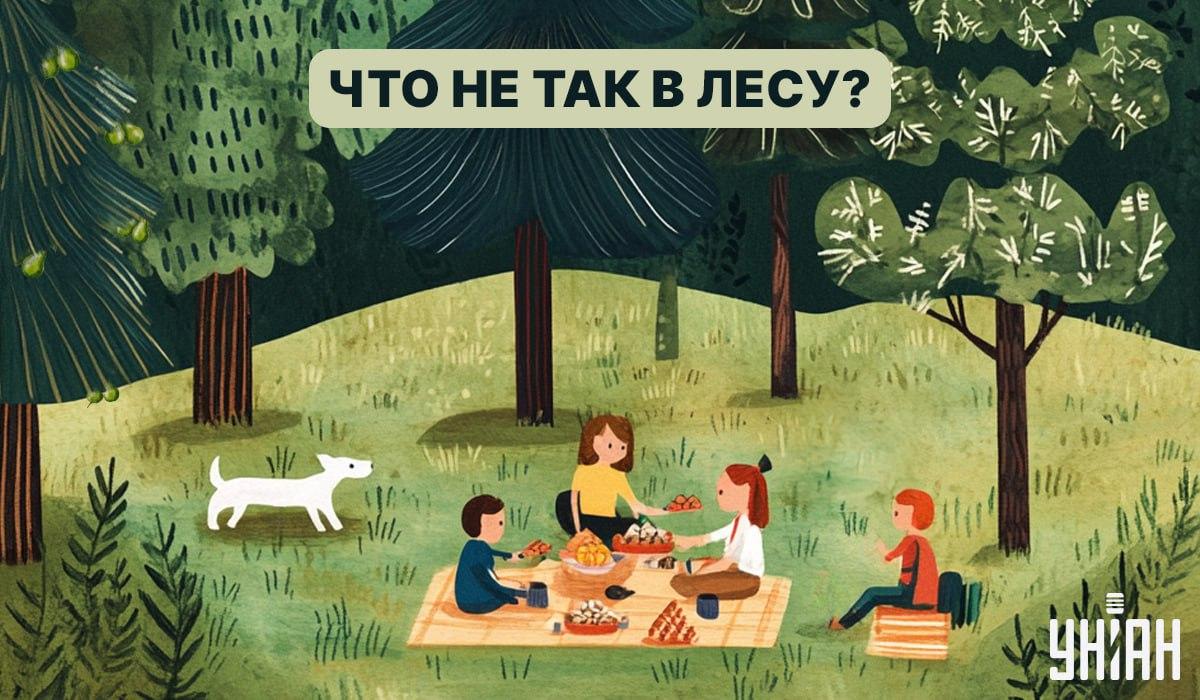 Пронађите бубу у шуми за 5 секунди: брзи ИК тест