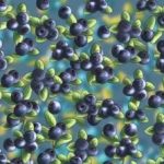 Ребус за оне са орловским видом: морате пронаћи мрава за