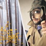 Само 2% људи може пронаћи веверицу у шуми за 12