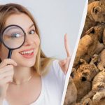 Само 3% људи нађе мачке међу младунцима лавова за 10