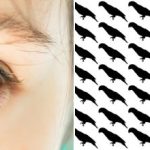 Само 5% људи ће пронаћи папагаја у овој оптичкој илузији