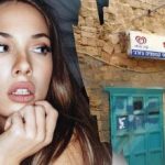 Само геније ће пронаћи пса на улици за 7 секунди: сложена оптичка илузија Само геније ће пронаћи пса на улици за 7 секунди: