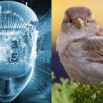 Само људи са фантастичним ИК-ом ће пронаћи врапца за 11