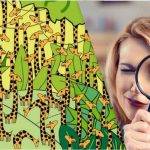 Само људи са високим коефицијентом интелигенције наћи ће змију међу жирафама за 11 секунди на овој оптичкој илузији Само људи са високим коефицијентом интелигенције наћи ће змију међу