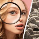 Само сваки трећи од 100 може пронаћи све псе на