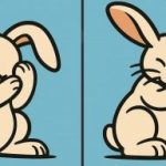 Супер ИК тест: пронађите 3 разлике на слици зеца за