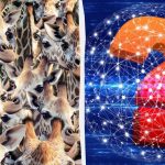 Сви виде жирафе, али морате пронаћи неваспитану козу за 8