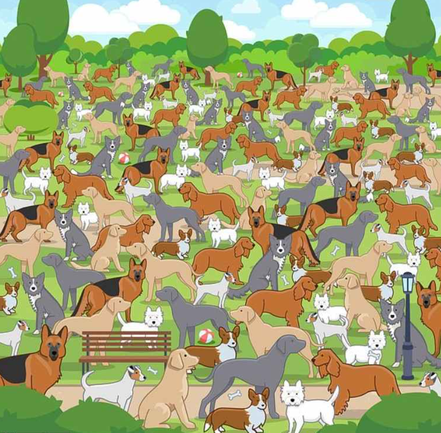 пхото Јаграњосх