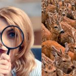 Треба да нађете три козе међу јеленима за 11 секунди: