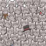 Загонетка за праве геније: пронађите мачку међу ракунима за 15