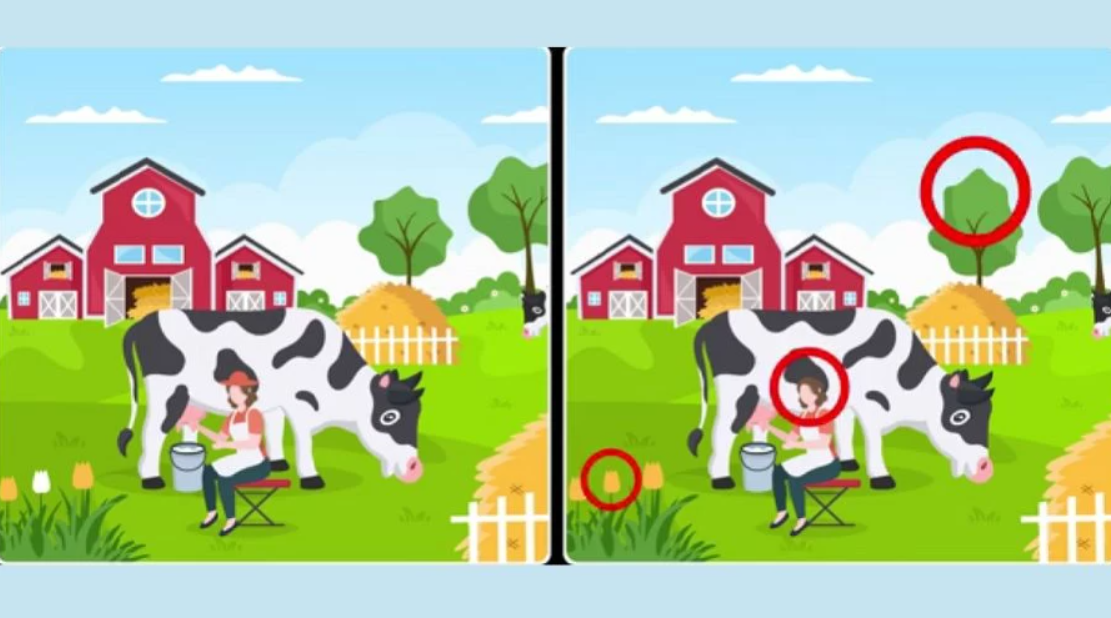 пхото Фресхерсливе