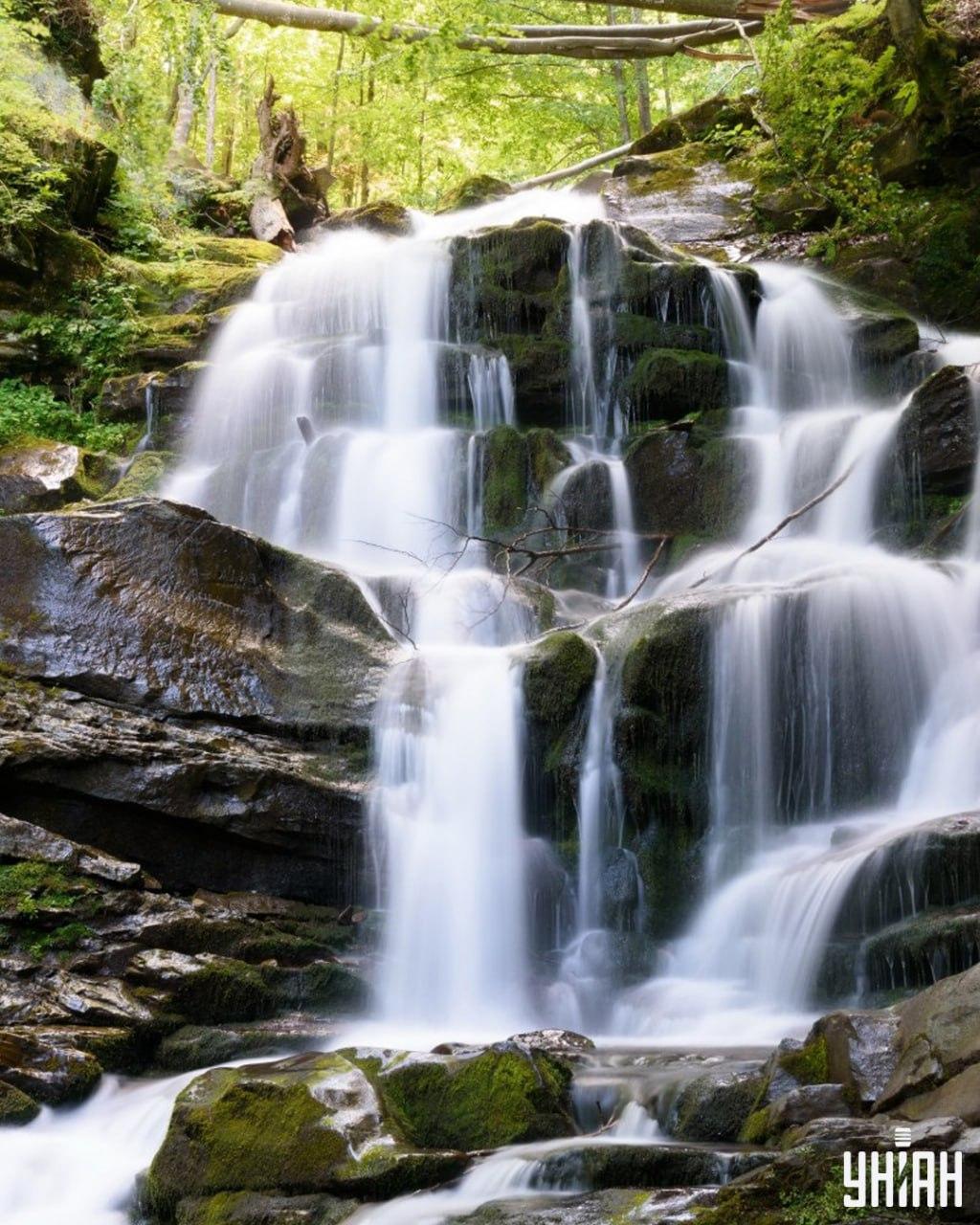 Морамо пронаћи веверицу на лукавој слагалици / колажу УНИАН