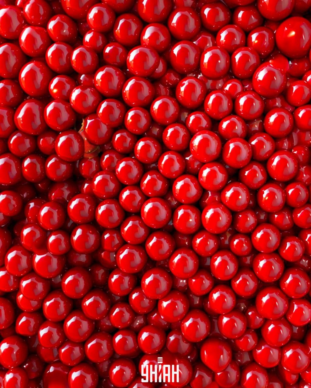 Међу црвеним перлама налазе се бобице вибурнума и морате их брзо пронаћи / колаж УНИАН