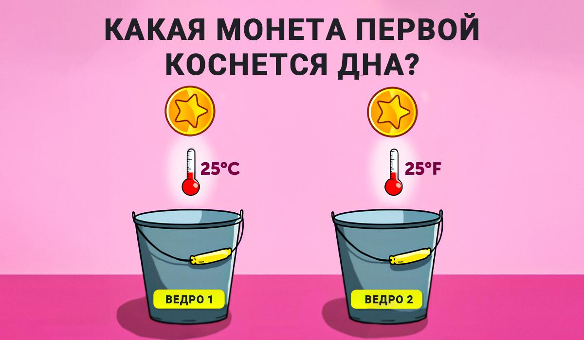 Тест интелигенције и знања физике / колаж УНИАН